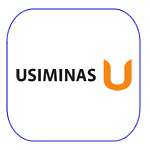 Usiminas